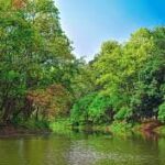গাজীপুর জেলা