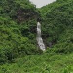 Jamalpur District