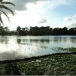 Patuakhali District