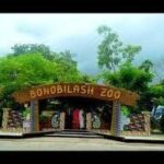zoo