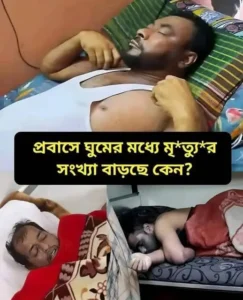 probash mrittu