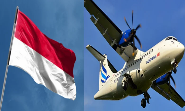 ইন্দোনেশিয়ার ১১ আরোহী নিয়ে নিখোঁজ বিমানের সন্ধান: রহস্য, অনুসন্ধান ও উদ্বেগজনক বাস্তবতা